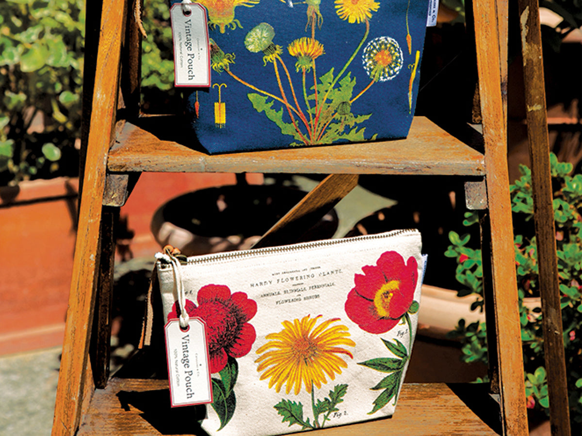 Cavallini Vintage Zipper Pouch - Cacti & Succulents