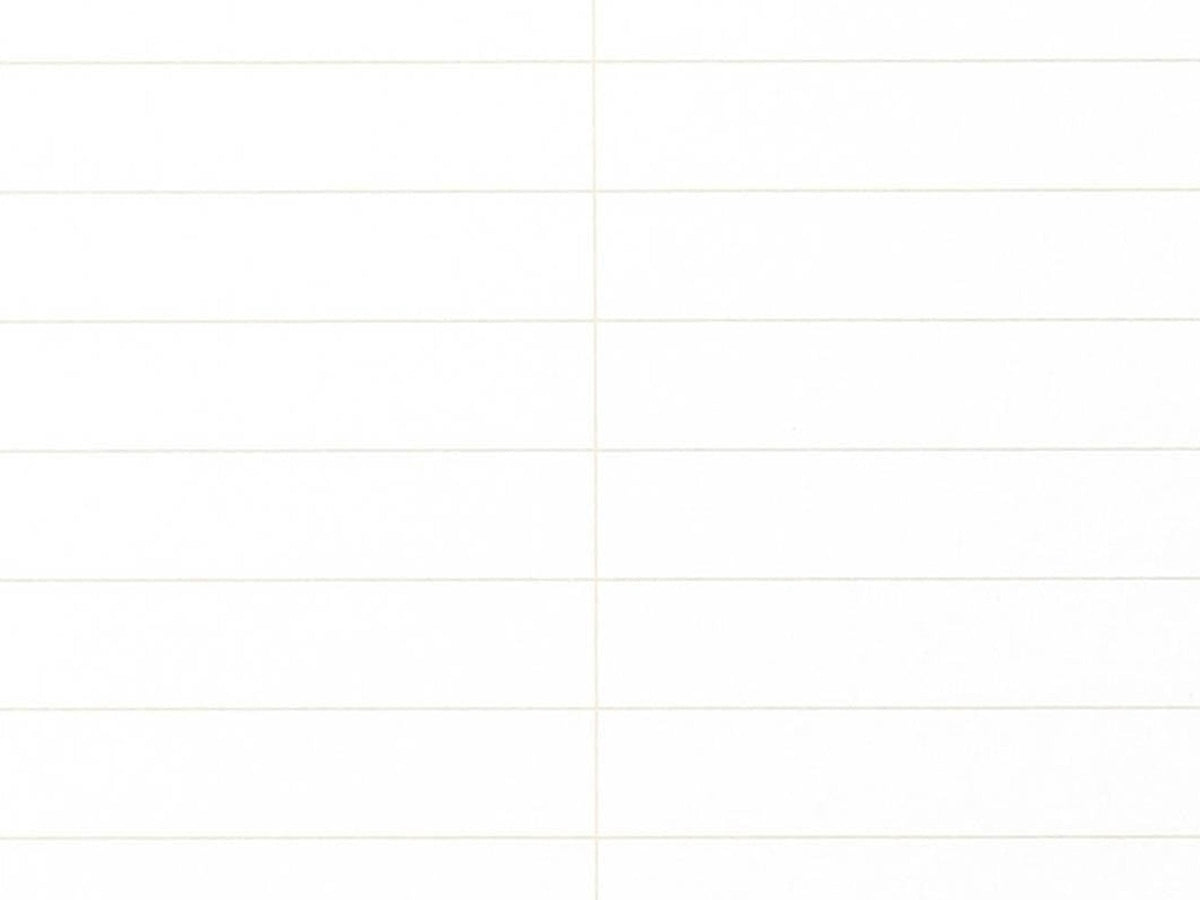 Field Notes 80-Page Steno Book