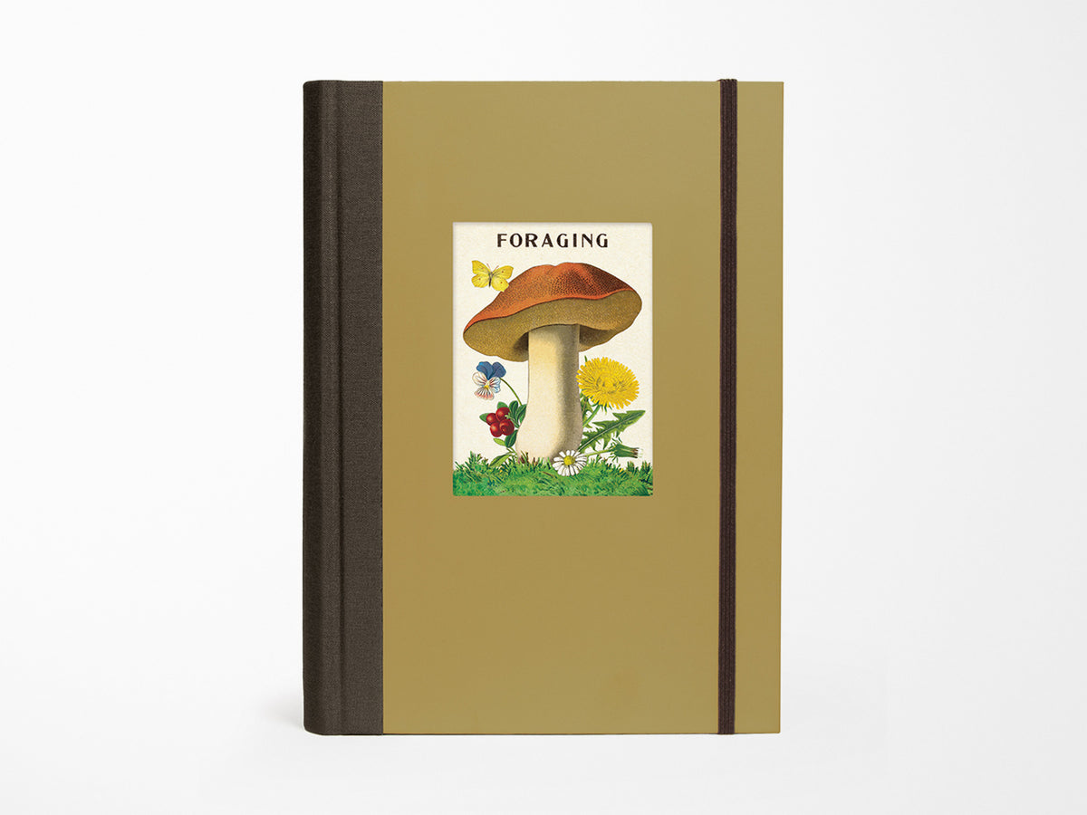 Foraging Window Journal