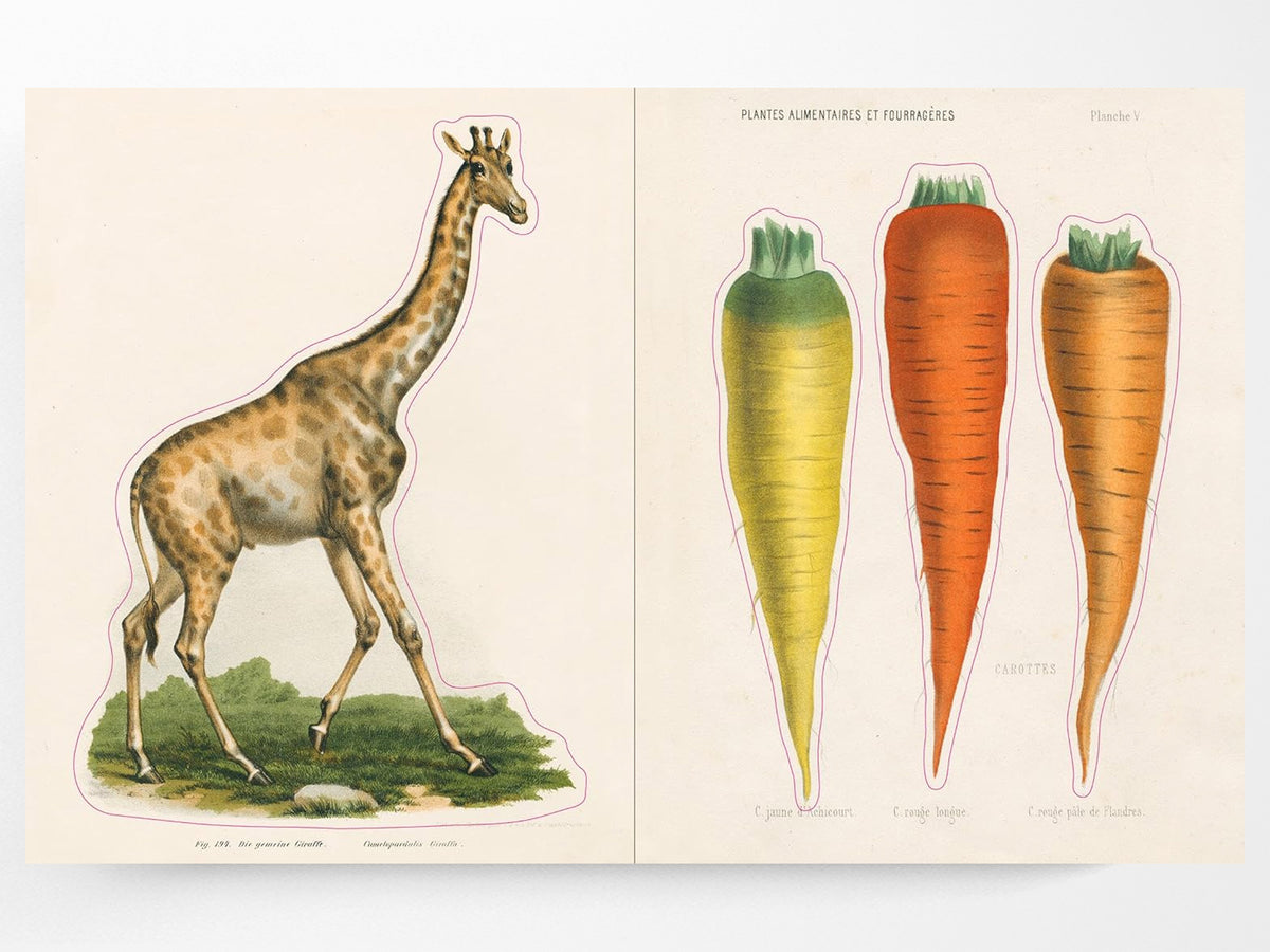 John Derian Sticker Book