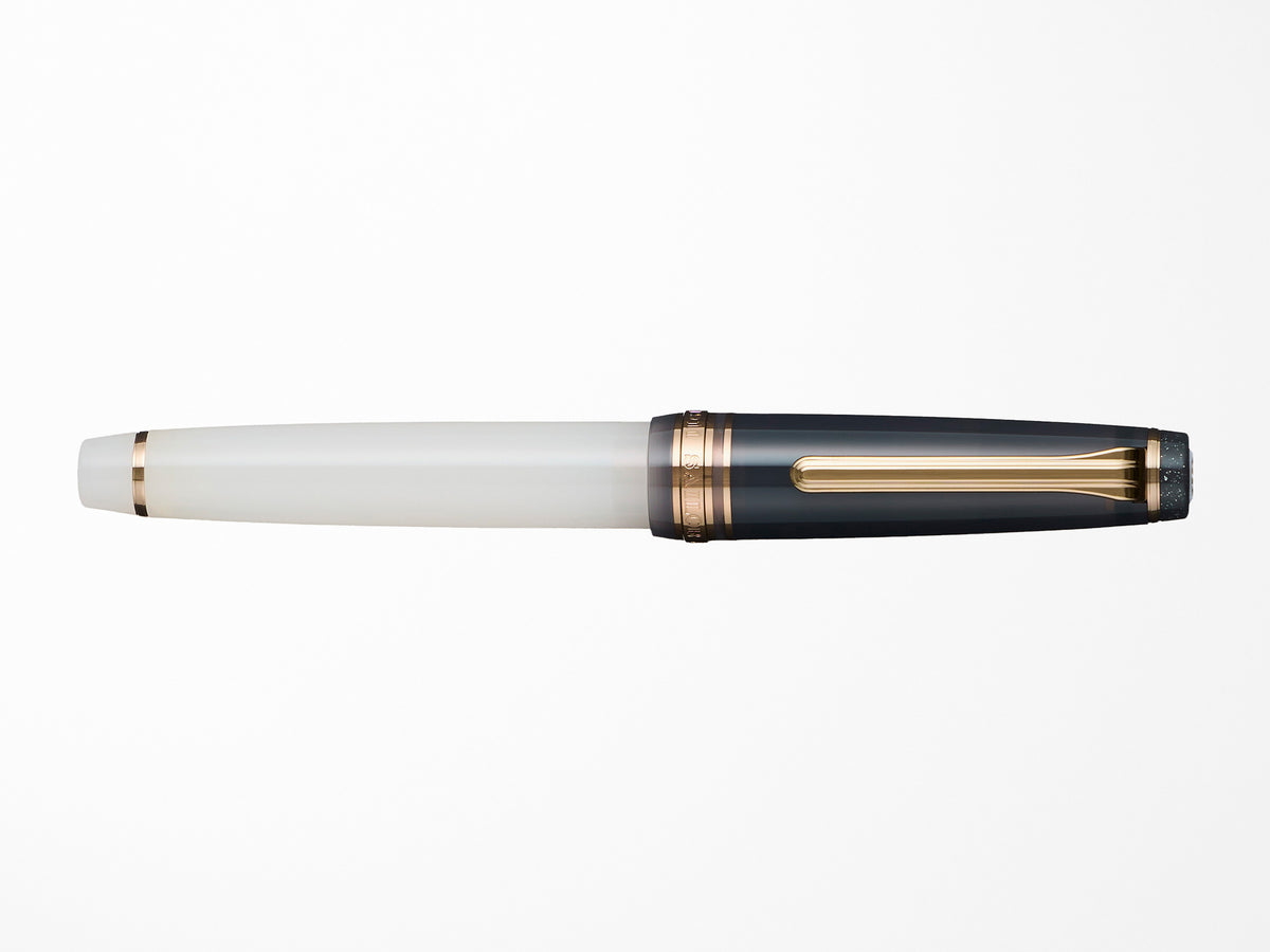 Sailor Pro Gear Slim Fountain Pen - Dried Flowers 2 - Black Rose