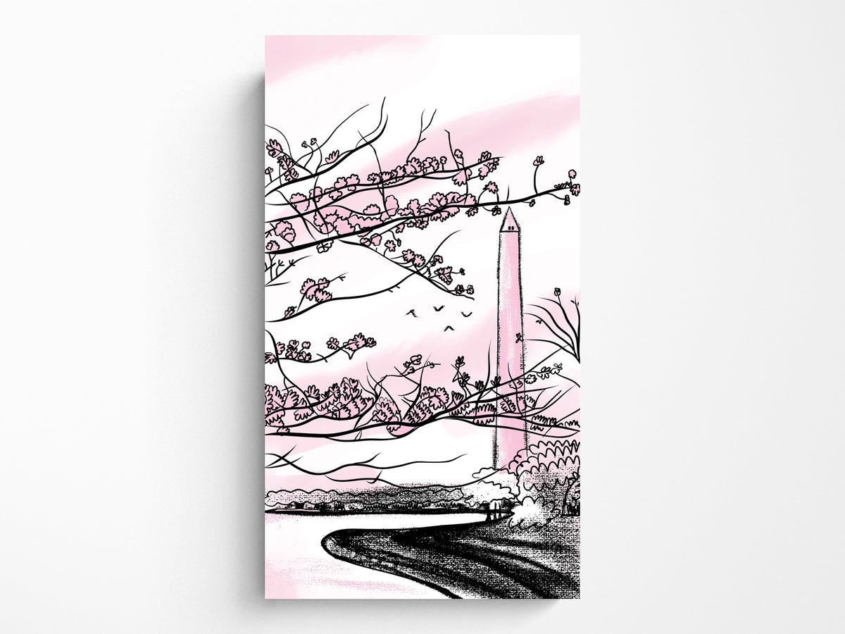Washington DC Field Guide
