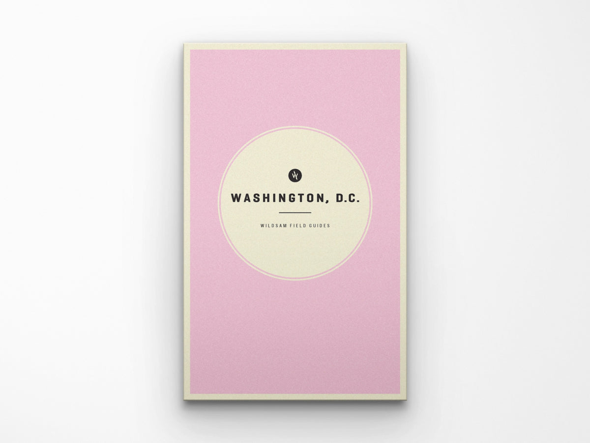 Washington DC Field Guide
