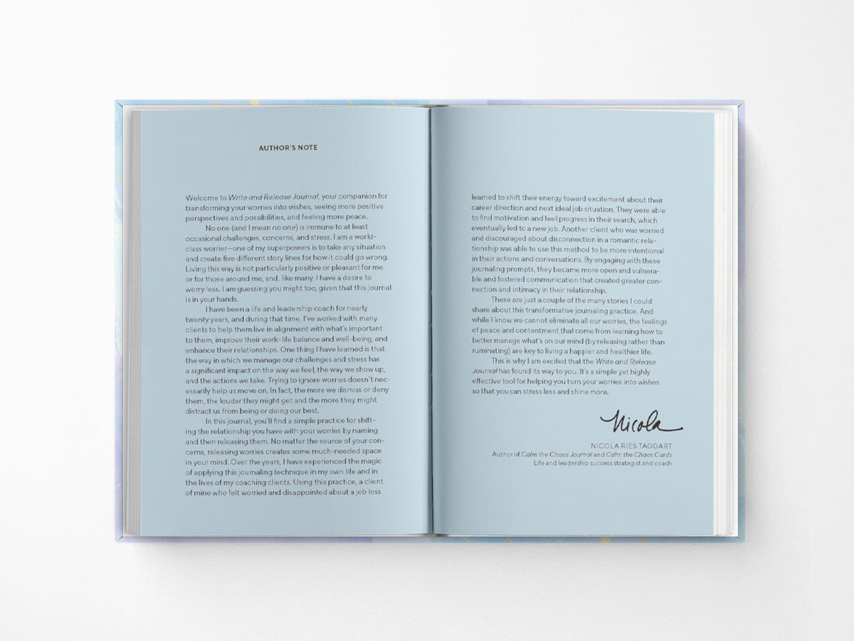 Write and Release Notebook
