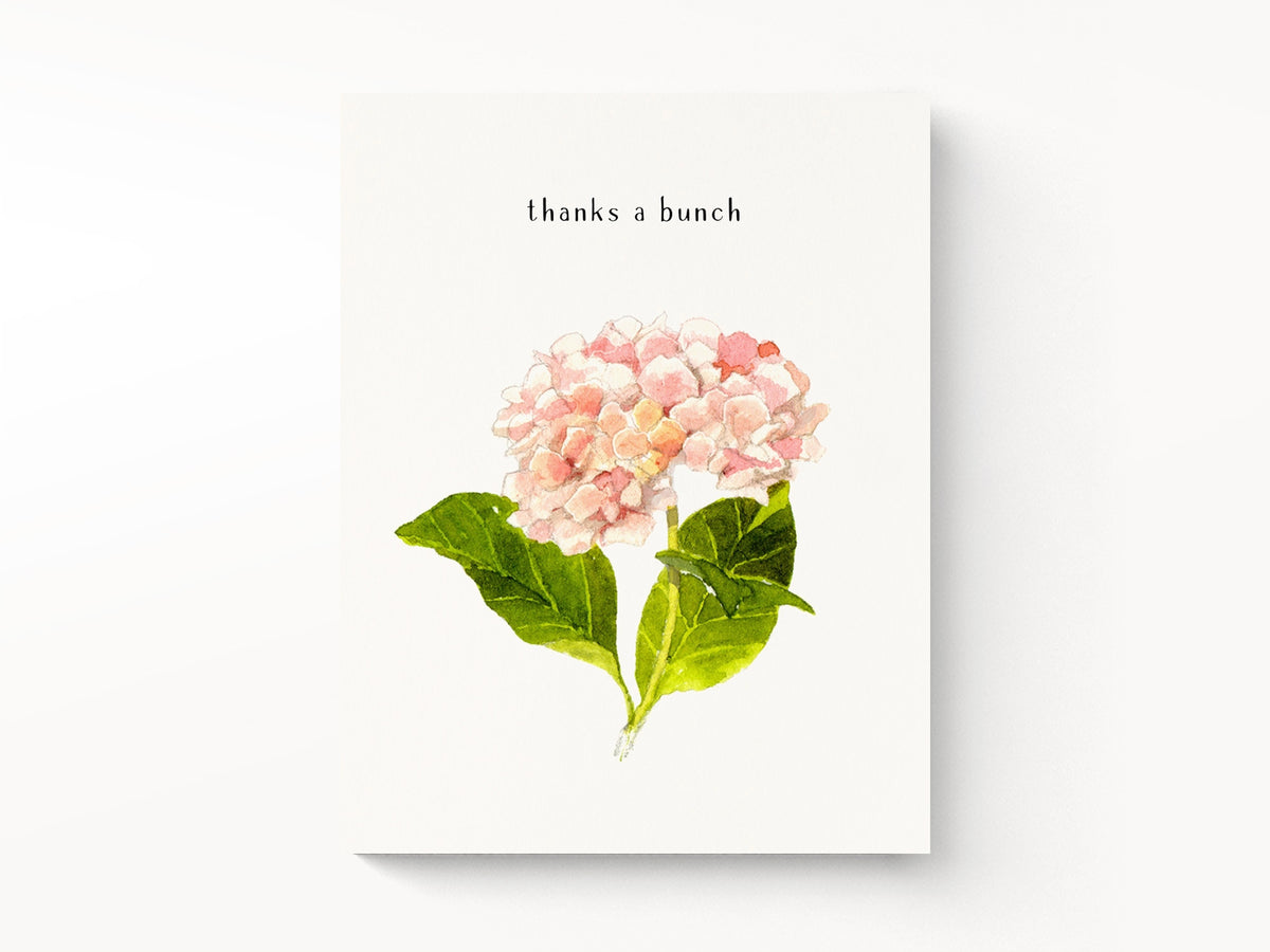 Pink Hydrangeas Thank You Greeting Cards, Box of 8