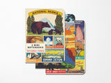 Cavallini Mini Vintage Notebooks Set of 3 - National Parks