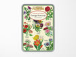 Cavallini Vintage Postcards Set - Language of Flowers