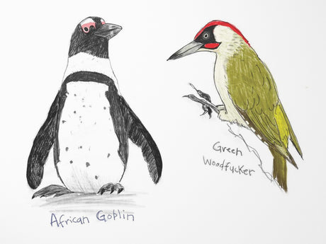 Field Guide to Dumb Birds Sticker Book