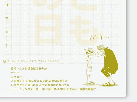 Hobonichi Techo 2027 Original Book A6 - ONE PIECE EDITION