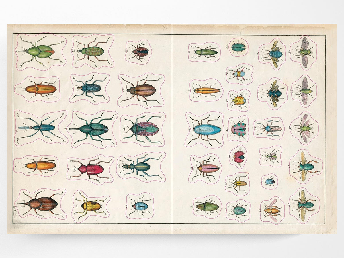 John Derian Sticker Book