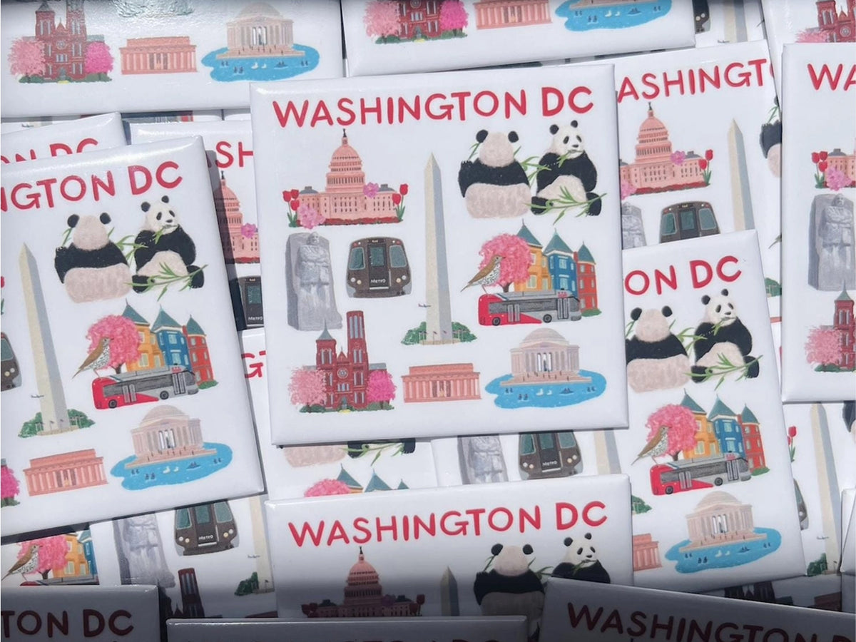 LIttle Washington DC Things Magnet