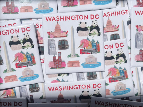 LIttle Washington DC Things Magnet