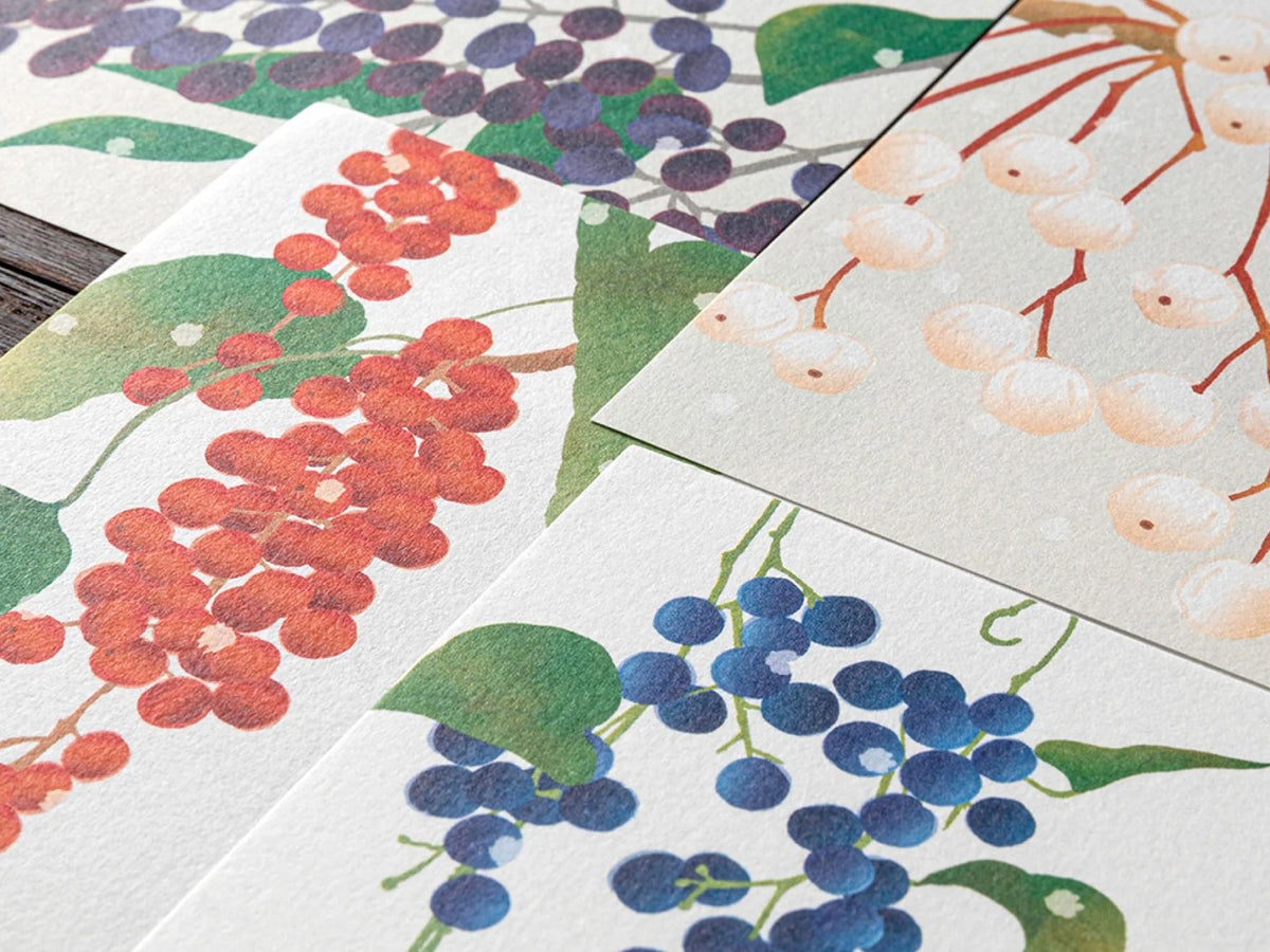 Midori Seasonal Letter Pad - 000 Winter Fruit - Four Designs