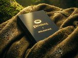 Moleskine and Lord of the Rings Flat Note Cards - Set of 7