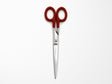 Penco Stainless Steel Scissors