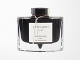 Pilot Iroshizuku Fountain Pen Ink - Yama-Guri