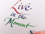 Pilot Parallel Calligraphy Pen