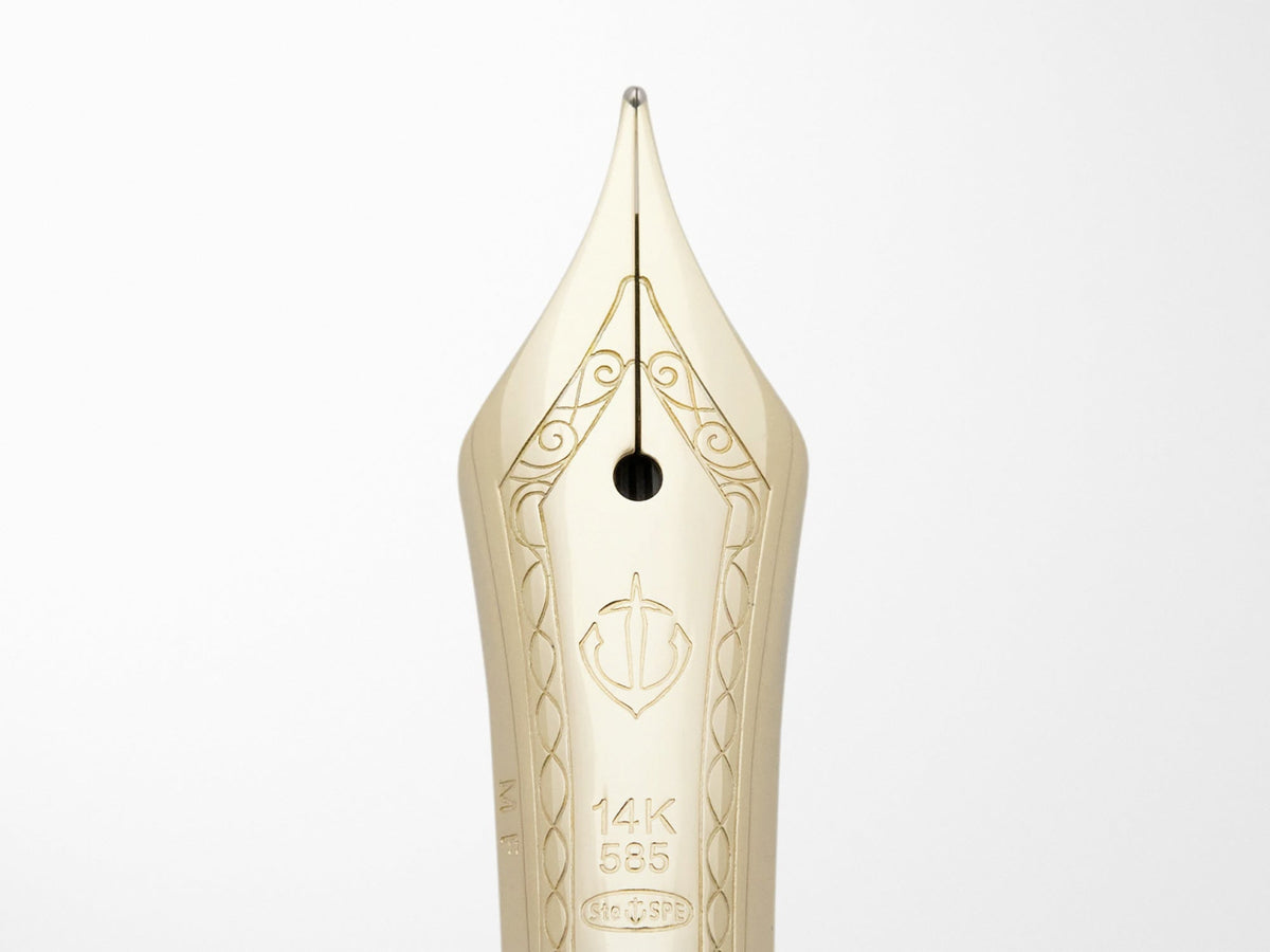 Sailor 1911S Fountain Pen - Japanese Sea Nettle