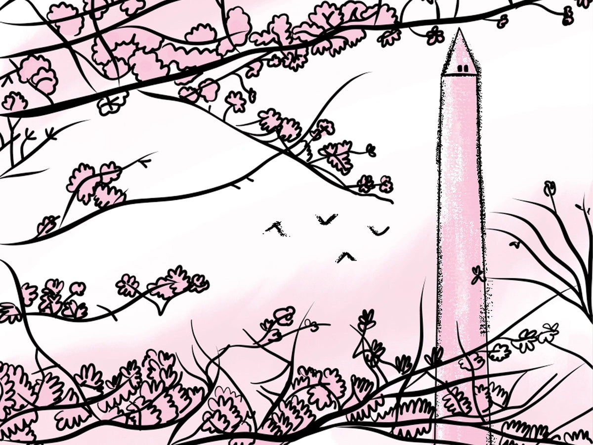 Washington DC Field Guide