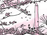 Washington DC Field Guide