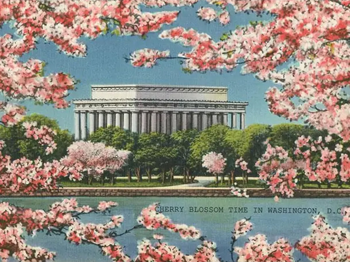 Washington DC Historical Stickers