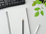 Maruman Mnemosyne Notebook N199A - A4 Lined